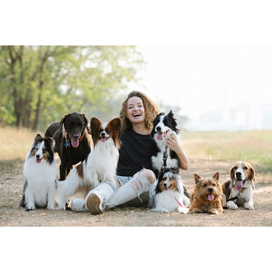 10 Unconventional Tips for Happier and Healthier Dogs