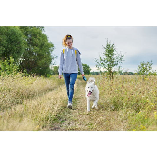 The Essential Guide to Your Dog’s Longevity: How to Keep Them Healthier for Longer